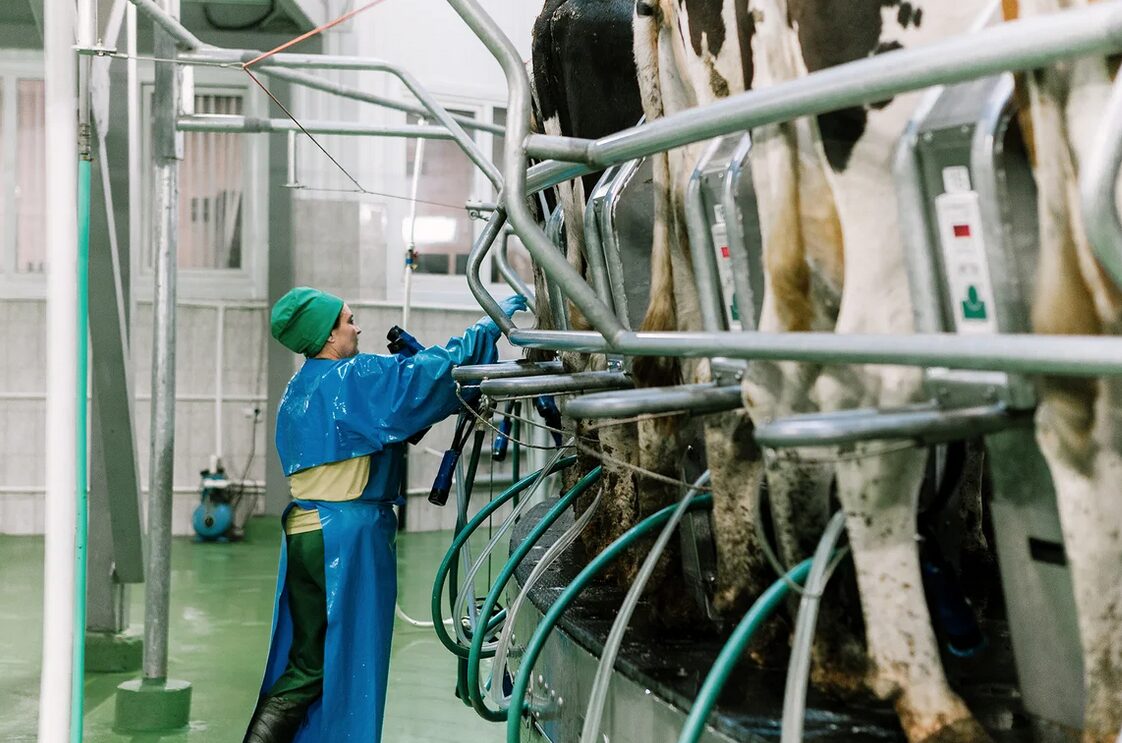 Оператор машинного доения