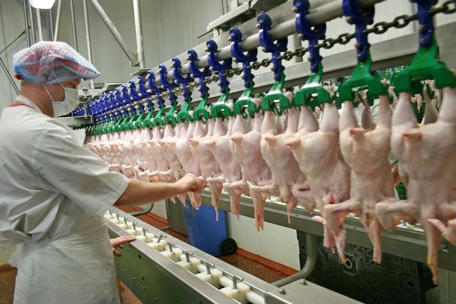 Оператор на птицефабрику